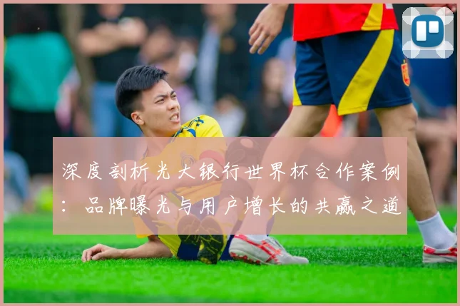 深度剖析光大银行世界杯合作案例：品牌曝光与用户增长的共赢之道