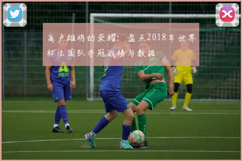 高卢雄鸡的荣耀：盘点2018年世界杯法国队夺冠战绩与数据