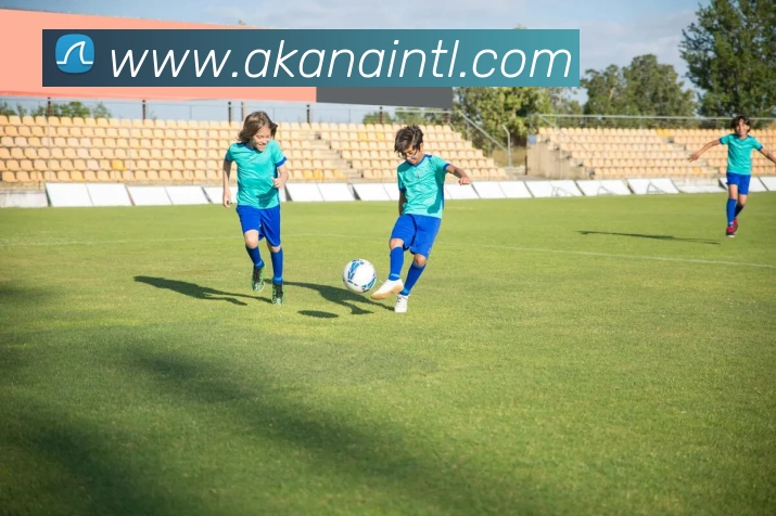 米乐网官网平台生态图